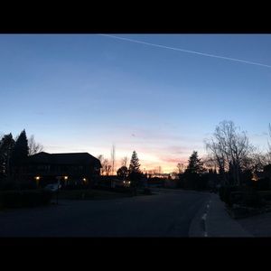 Meet your Posher, Bailey